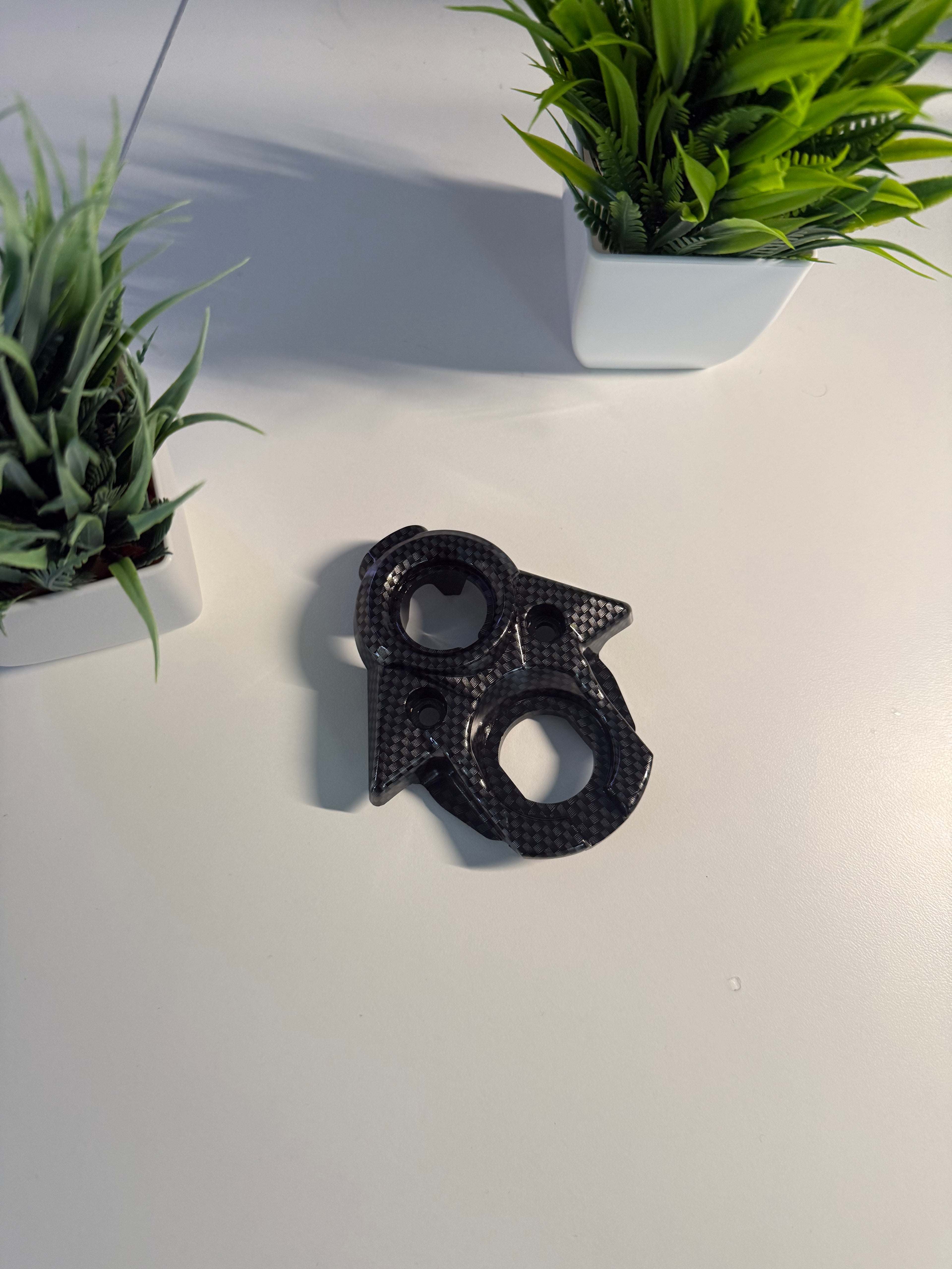 Surron/Eride Fake Carbon Ignition Plate