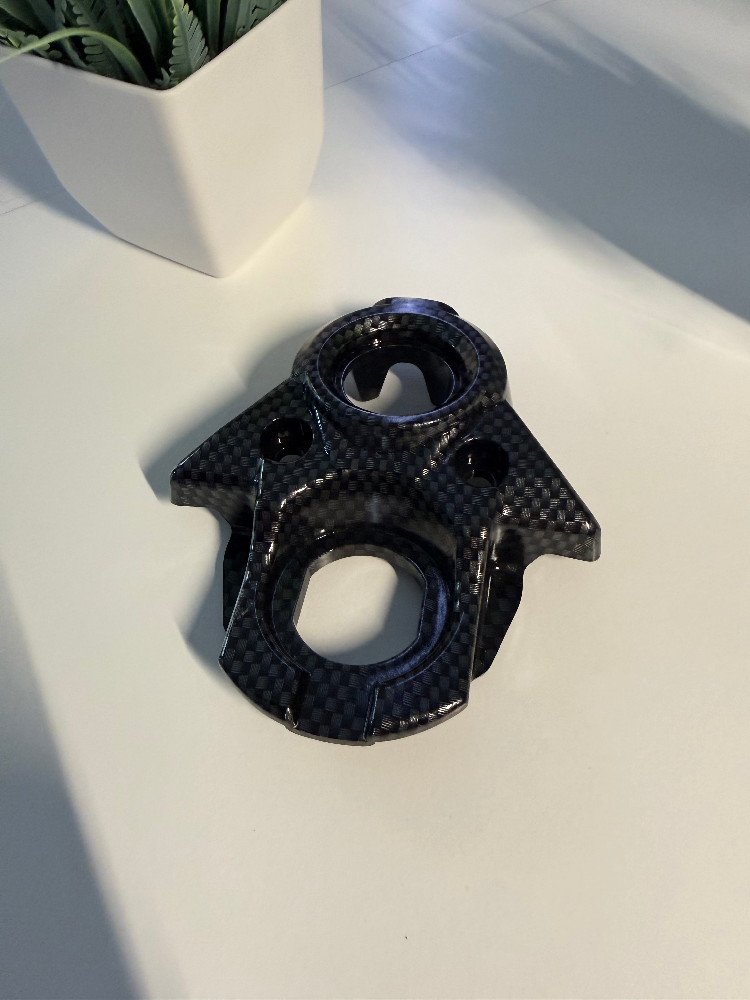 Surron/Eride Fake Carbon Ignition Plate